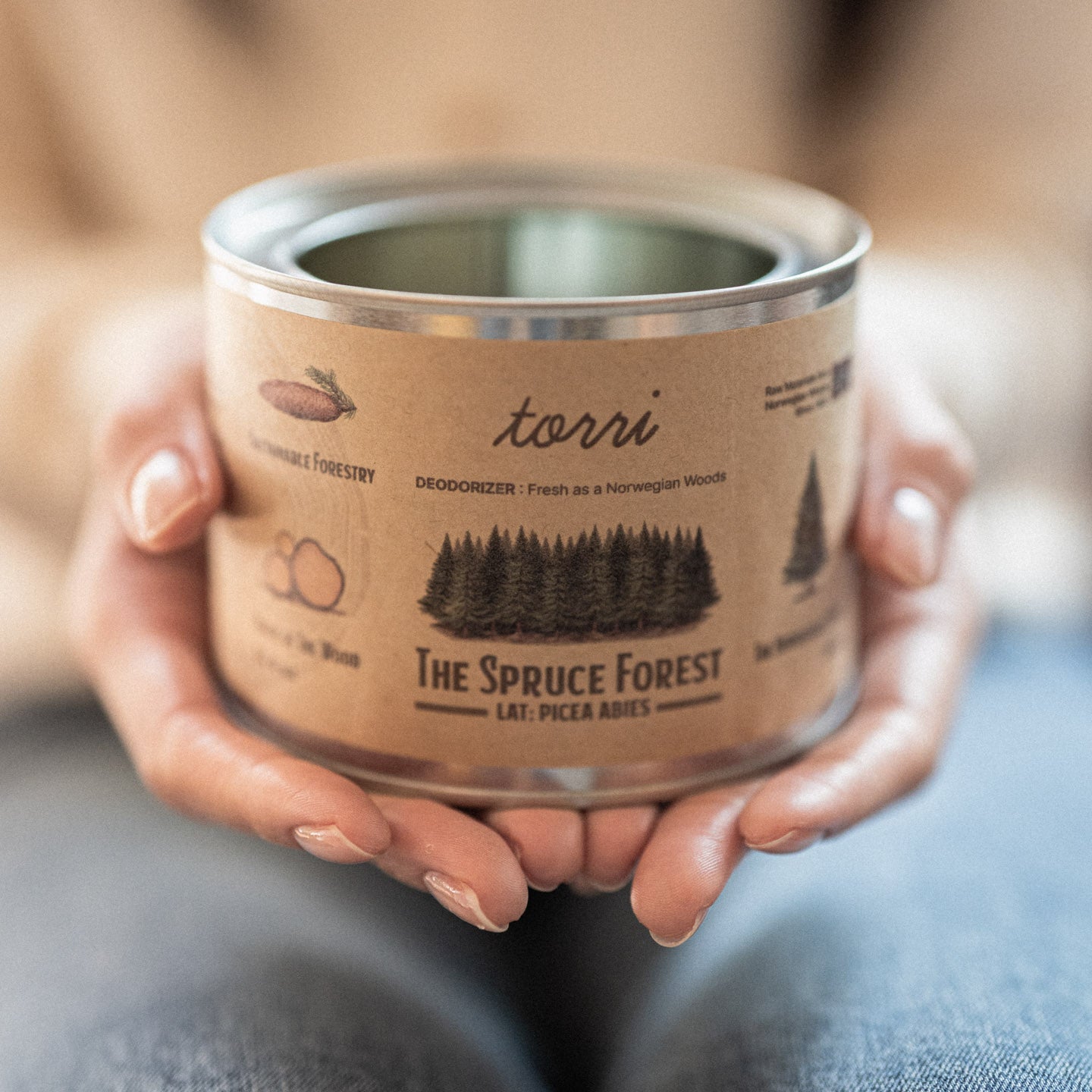 TORRI Norwegian Woods Deodorizer