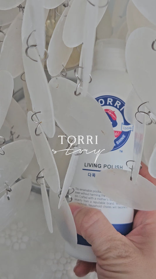 Torri All-in-one Cleaner and Polish Water Spot Remover